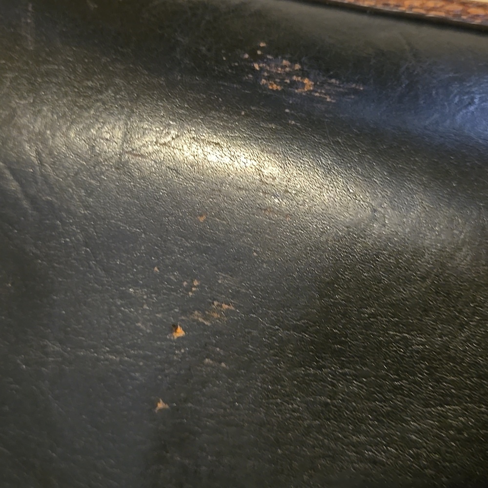 Brahmin Black and Brown Leather Bag with Gold Accent - Picture 7 of 10
